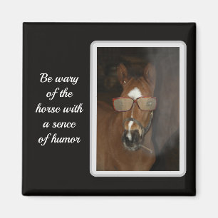 Humourous Horse Foal Smoking Cigar Magnet