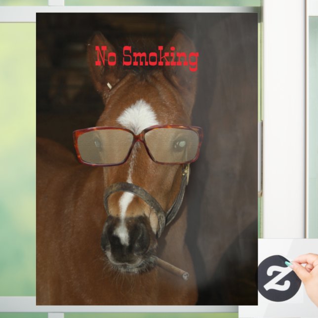 Humourous Horse Foal Smoking Cigar Window Cling (Home)