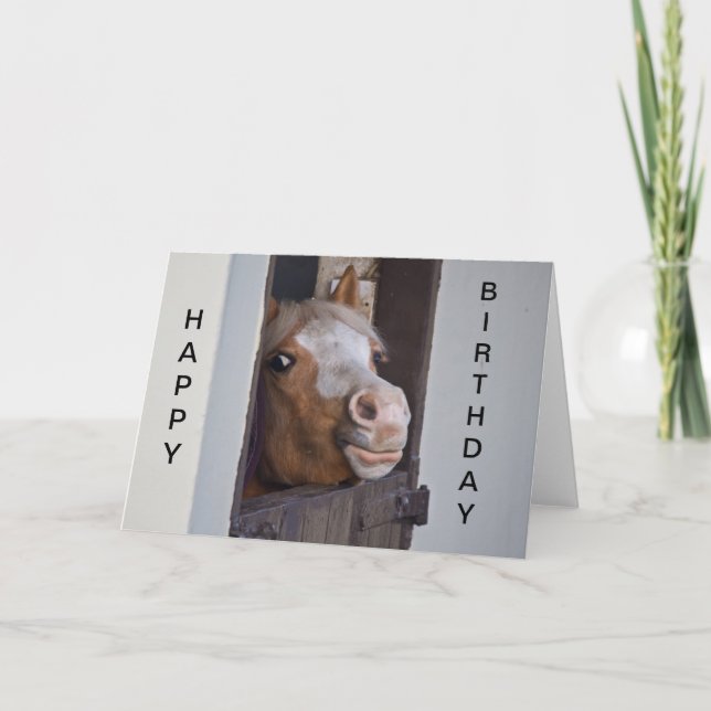 Humourous Horse Happy Birthday Card (Front)