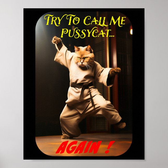 Humourous Karate Theme  Poster (Front)