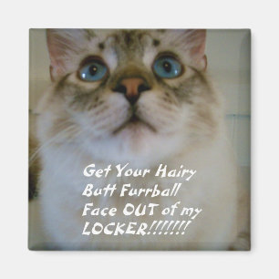 humourous Locker Magnet