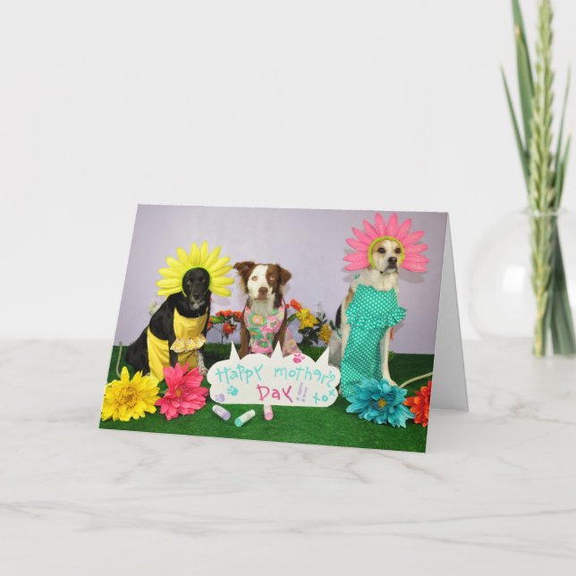 Humourous Mother's day card using dogs in (Front)