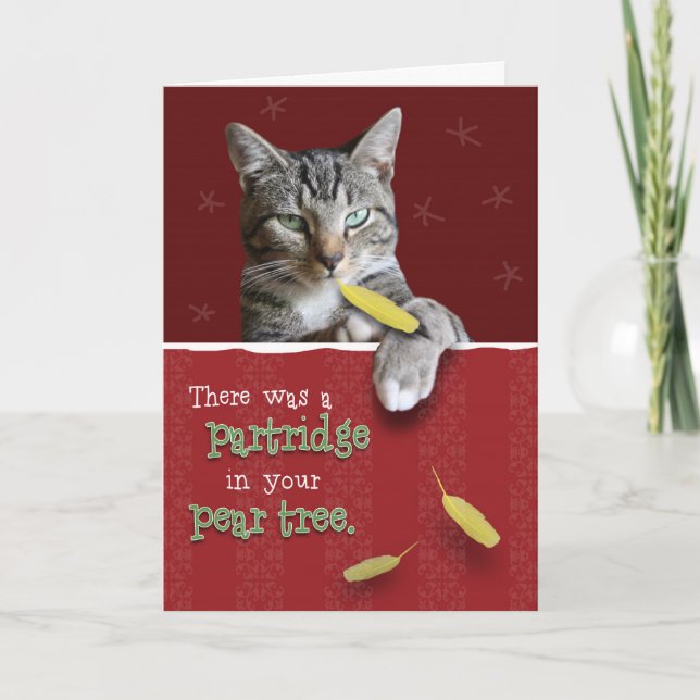 Humourous Naughty Cat Christmas Card (Front)
