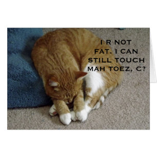 Humourous Orange Tabby Cat Card