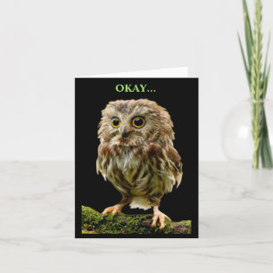 Humourous Owl choosing the fun option Card