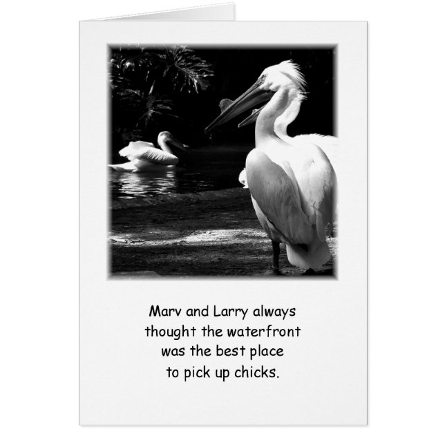 Humourous Pelicans (Front)