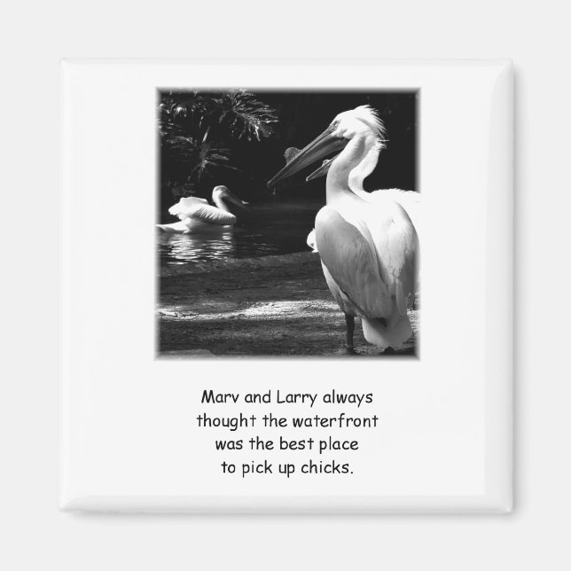 Humourous Pelicans Magnet (Front)