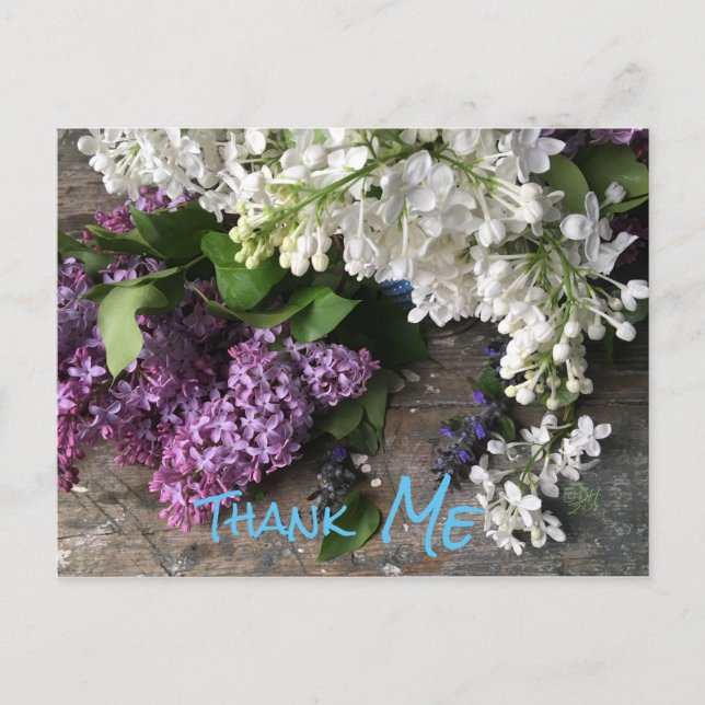 Humourous postcard:   Lilac Thank “ME” notes Postcard (Front)