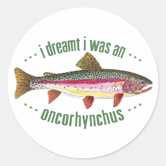 Humourous Rainbow Trout Design Classic Round Sticker (Front)