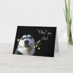 Humourous Sister Happy Birthday Card<br><div class="desc">A fun way to say "olive" you to your sister on her birthday.  A cute husky holding an olive branch and the pun of olive vs. I love.  Sure to bring a smile to your sister on her birthday.</div>