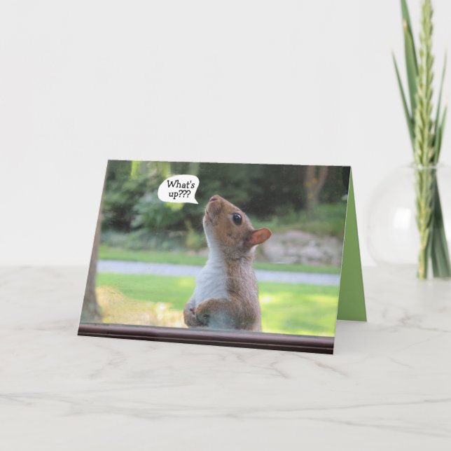 Humourous squirrel birthday occasion greeting card (Front)