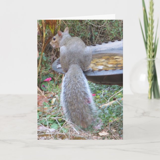 Humourous Squirrel Card (Front)