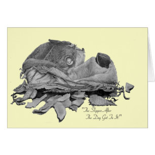 Humourous still life drawing of dog slipper art