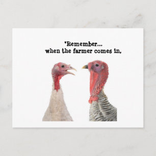 Humourous Thanksgiving Turkey Advice Postcard