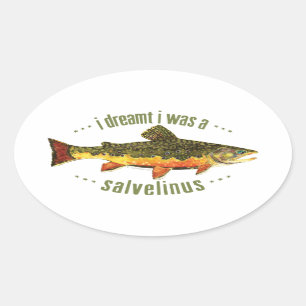 Humourous Trout Fishing Oval Sticker
