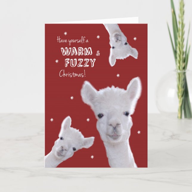 Humourous Warm & Fuzzy Christmas Card with Llamas (Front)