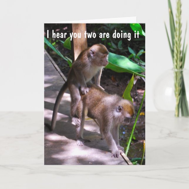 Humourous Wedding Best Wishes for a Special Couple Card (Front)