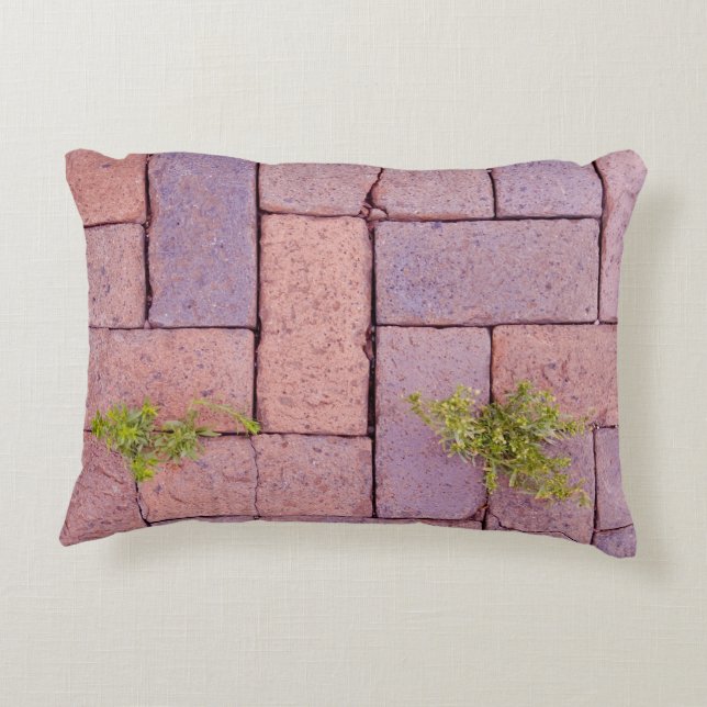 Humourous Weeds Paving Stones Walkway Pattern Decorative Cushion (Back)