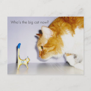 Humourous "Who's the Big Cat Now?" Postcard