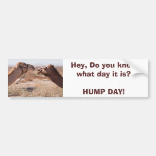 Hump Day Bumper Sticker