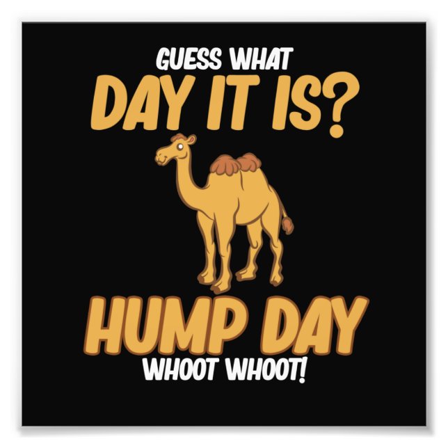 Hump Day Camel Animal Lover Camels Pet Owner Graph Photo Print (Front)
