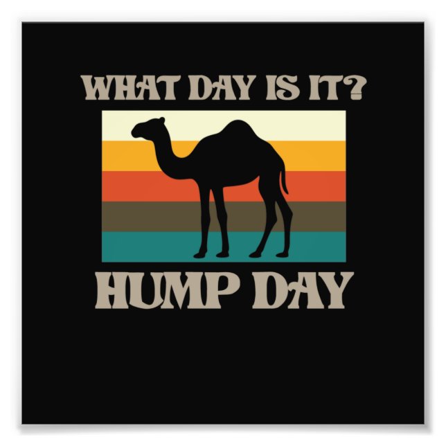 Hump Day Camel Animal Lover Camels Pet Owner Graph Photo Print (Front)