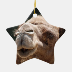 Hump Day Camel Ceramic Tree Decoration