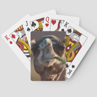 Hump Day Camel Feasting on Green Grass Playing Cards