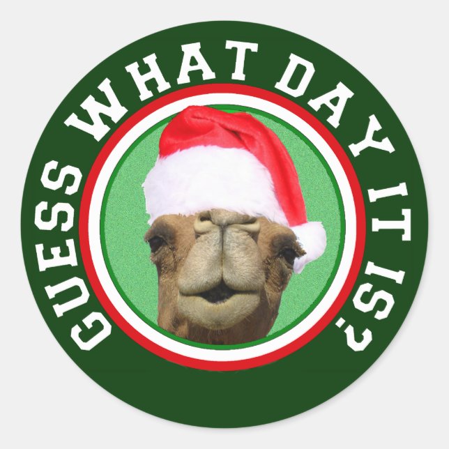 Hump Day Camel Guess What Day It Is Christmas Classic Round Sticker (Front)