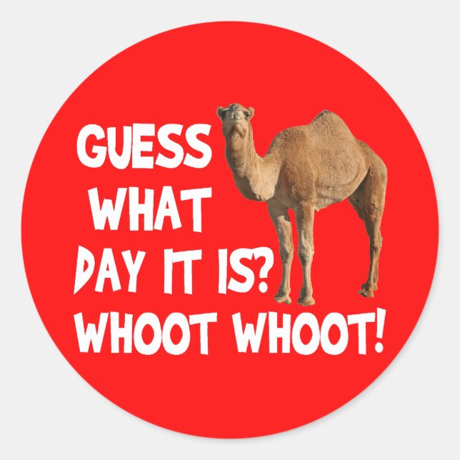 Hump Day Camel Guess What Day It Is Stickers (Front)