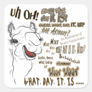Hump Day Camel Square Sticker