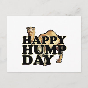 Hump Day Camel T Shirts M.png Postcard