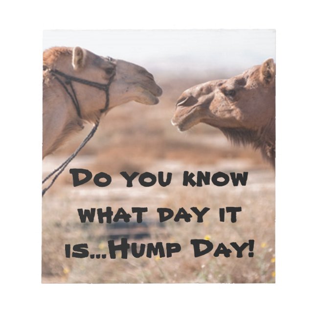 Hump Day Camels Notepad (Front)
