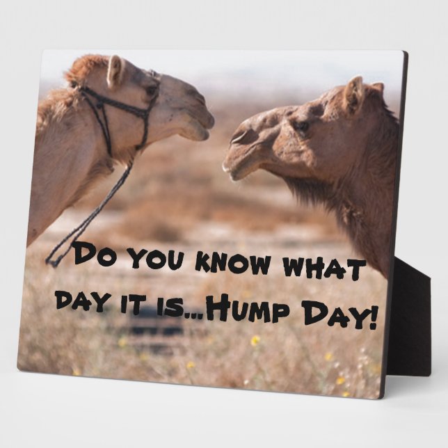 Hump Day Camels Plaque (Side)