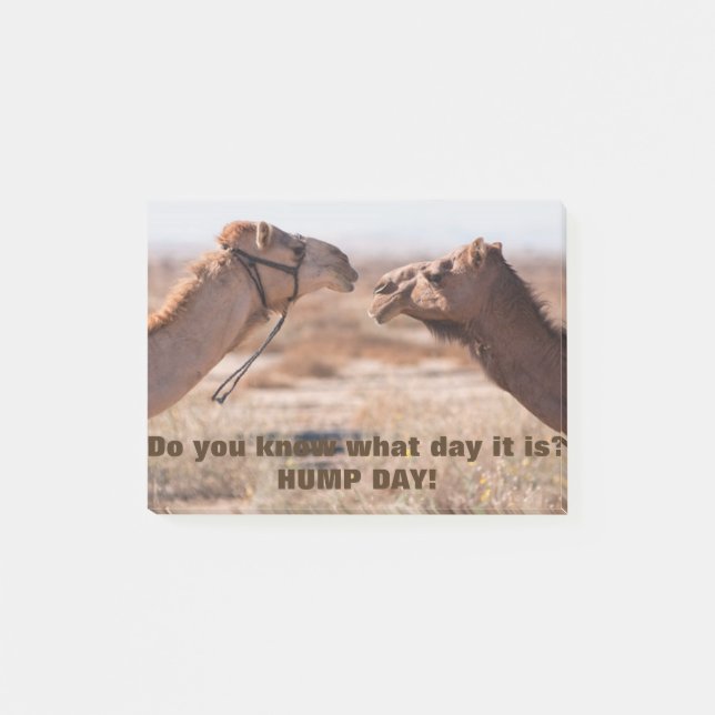 Hump Day Camels Post-it Notes (Front)