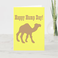 Hump day ! Happy Hump Day