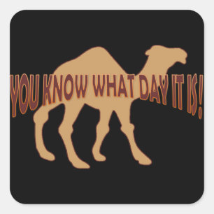 HUMP DAY HUMP DAY CAMEL SQUARE STICKER