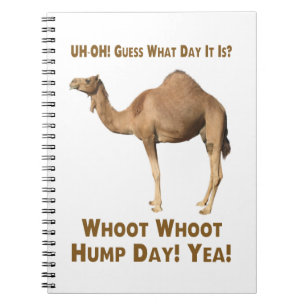 Hump Day Notebook