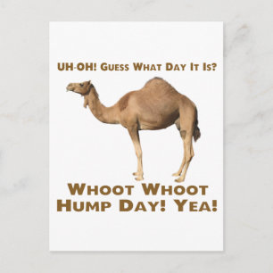 Hump Day Postcard