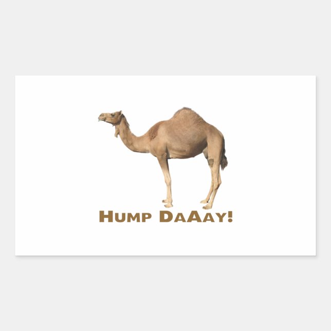 Hump day rectangular sticker (Front)