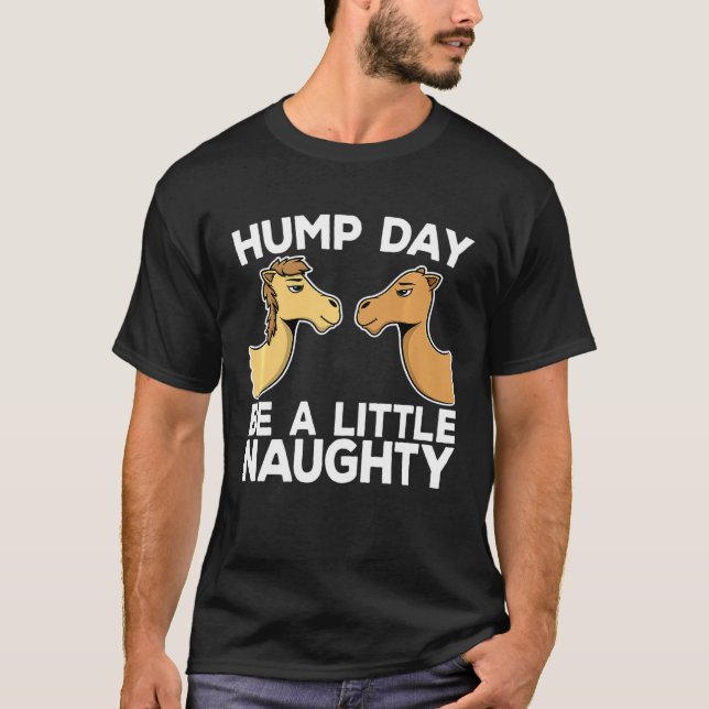 Hump Day Wednesday Office Humour Camel Meme Idea T-Shirt (Front)
