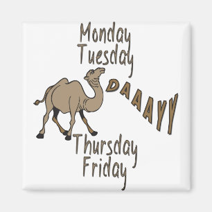 Hump Day Week Days Magnet