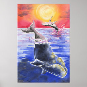 Humpback Right Whale sunset ocean Poster