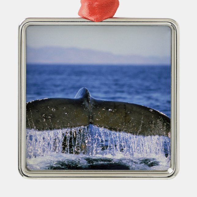 Humpback tail. metal tree decoration (Front)
