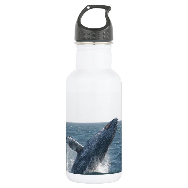 Humpback Whale 532 Ml Water Bottle (Front)