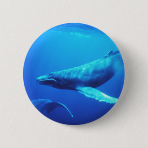 Humpback Whale 6 Cm Round Badge
