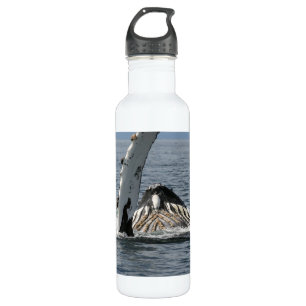 Humpback Whale 710 Ml Water Bottle