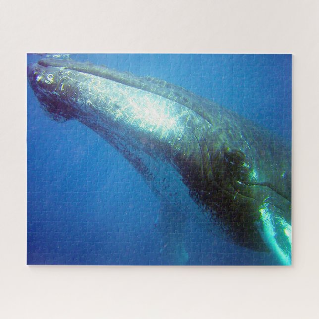 Humpback Whale Alaska Jigsaw Puzzle (Horizontal)