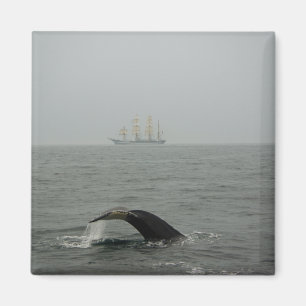 Humpback Whale and Tall Ship 2 Magnet