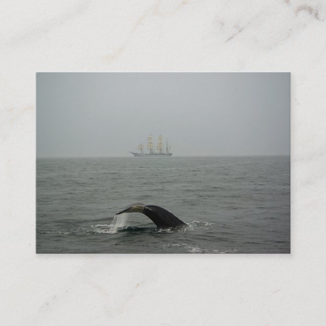Humpback Whale and Tall Ship 2 Mini Print Business Card (Front)
